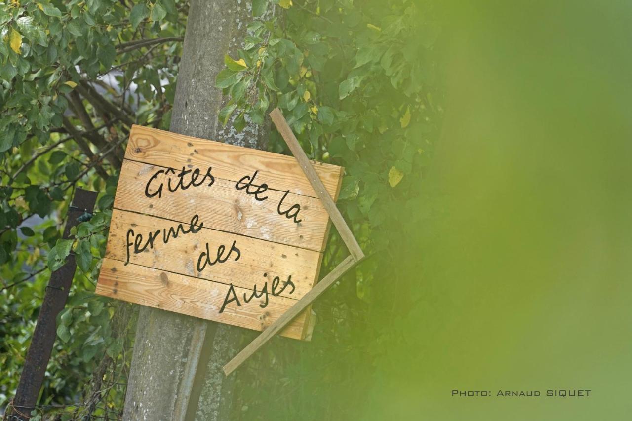 Gite Familial Ferme Des Aujes Falaen オナイユ エクステリア 写真